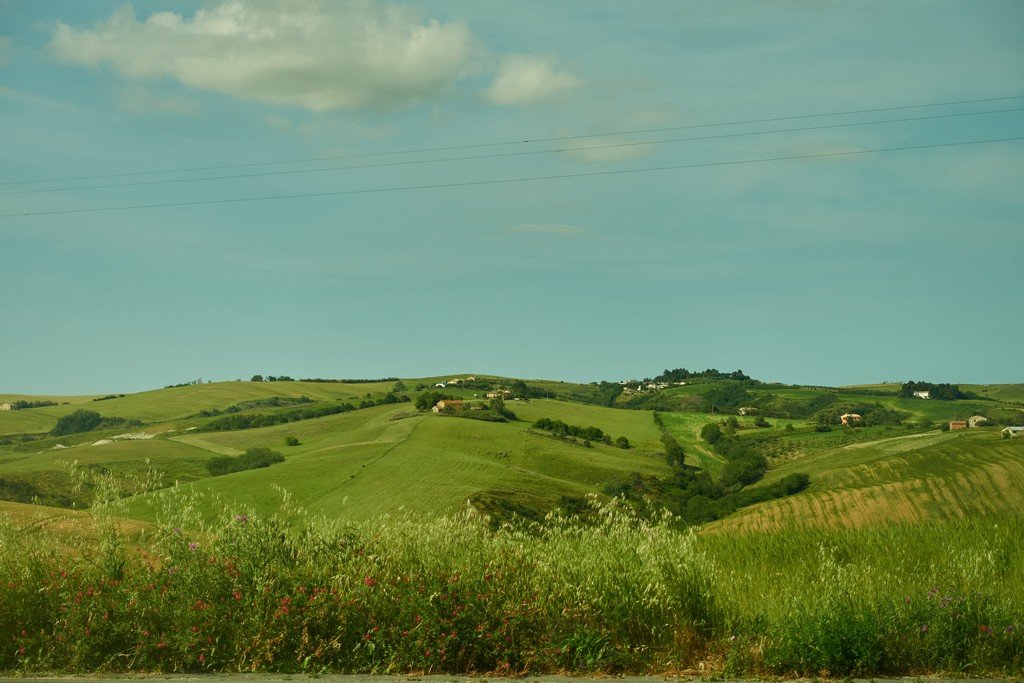 chorreisearcevia95.jpg